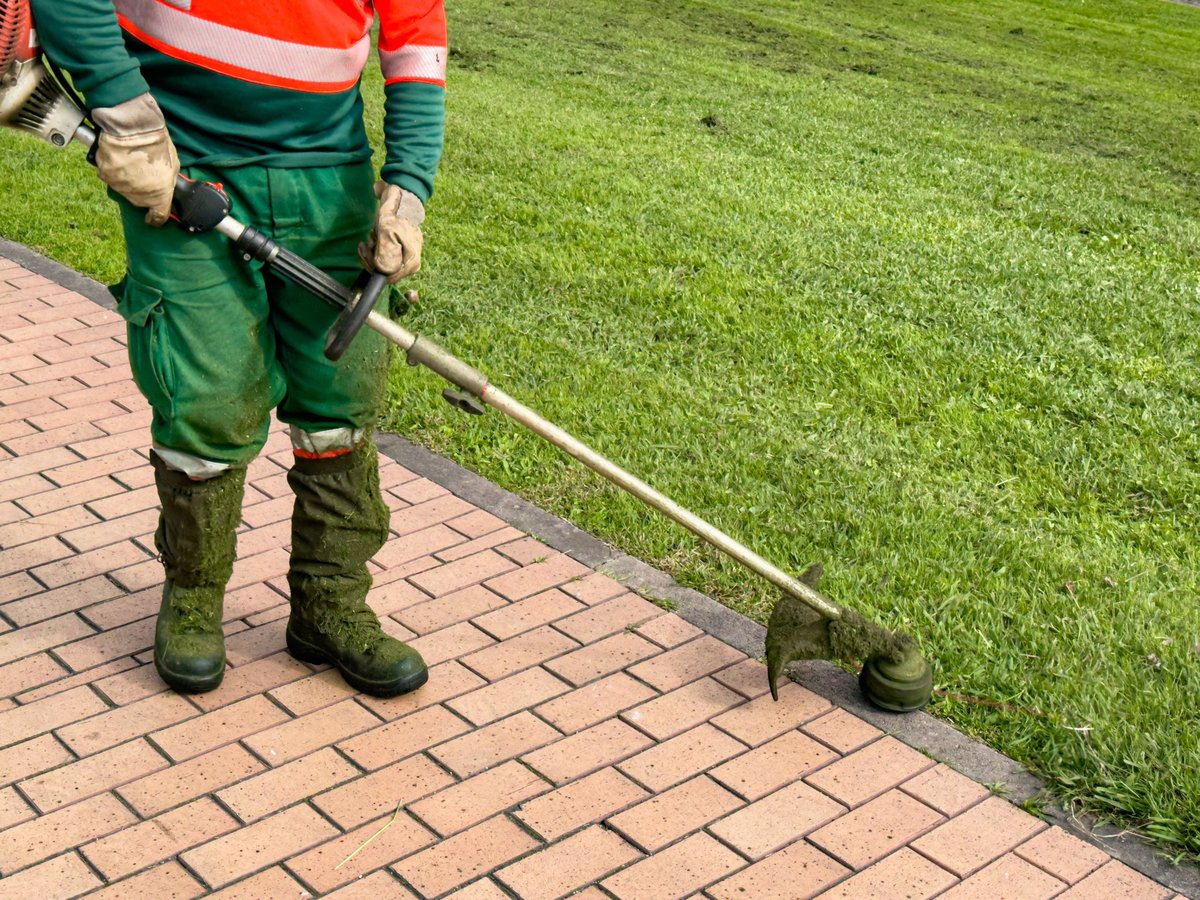 A landscaper using a trimmer to maintain a lawn edge near a brick pathway